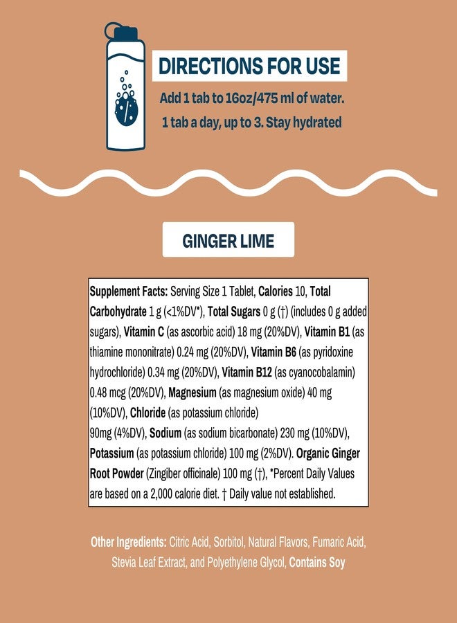 Drinklits Ginger Lime Electrolyte Tablets for Hydration | Great Taste - 0g Sugar - Essential Electrolytes - Daily Use | Single Tube (10 Tablets/Servings) - Image 4